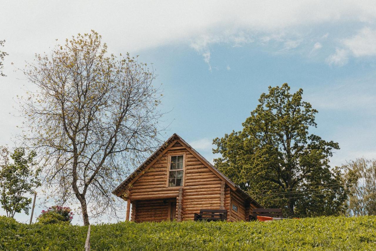 Jaunlidumnieki Villa Mālpils Buitenkant foto